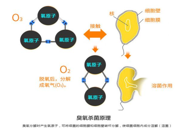 麻将胡了2(中国)官方网站-IOS/安卓通用版/手机APP下载